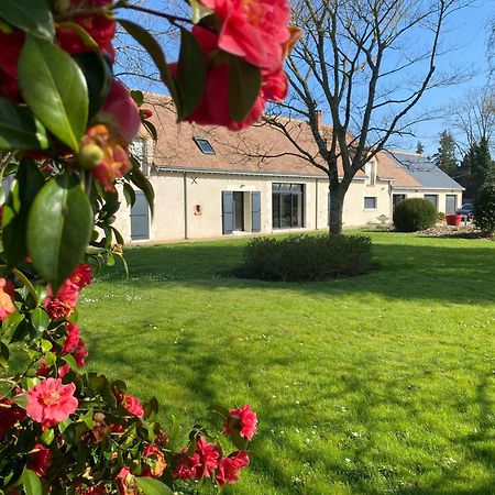 Au Ginkgo Bed and Breakfast Chaumont-sur-Loire Buitenkant foto