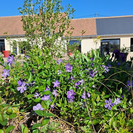 Au Ginkgo Bed and Breakfast Chaumont-sur-Loire Buitenkant foto